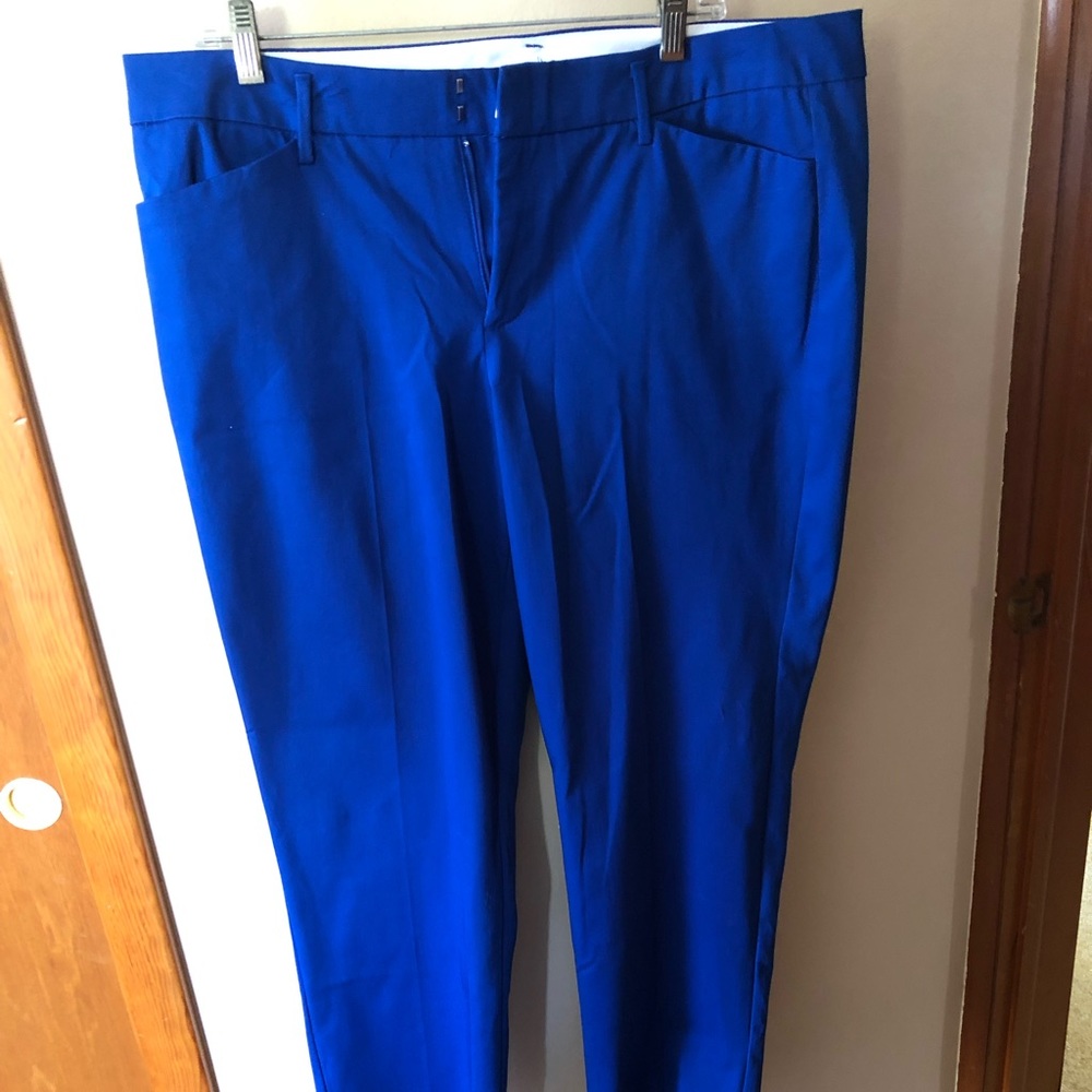 Ana bright blue dress pants